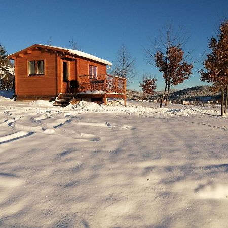 Le Chalet Des Etoiles Champagnac-le-Vieux Exteriér fotografie
