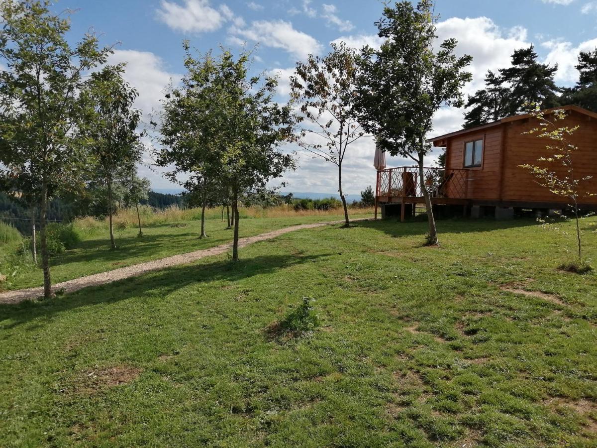 Le Chalet Des Etoiles Champagnac-le-Vieux Exteriér fotografie
