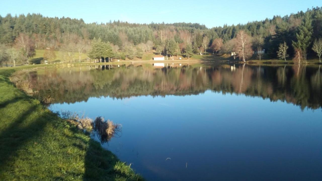 Le Chalet Des Etoiles Champagnac-le-Vieux Exteriér fotografie